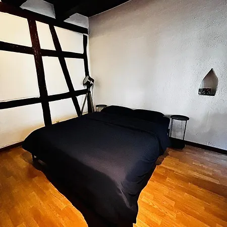 Daire Maison A Colombages Au Coeur De Centre-ville Colmar
